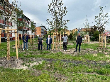 Das Foto zeigt 5 Personen zwischen mehreren frisch gepflanzten ca. 6m hohen Bäumen in einem Wohngebiet